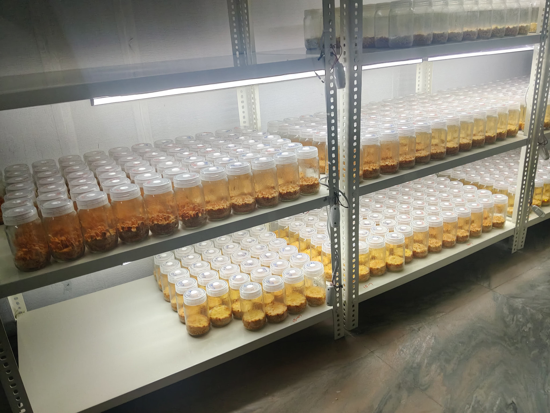 Radhvan Origins cultivation facility and laboratory in Jaipur